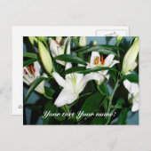 leugenaars briefkaart (Voorkant / Achterkant)