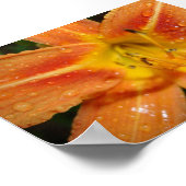 leugenachtig poster (Hoek)