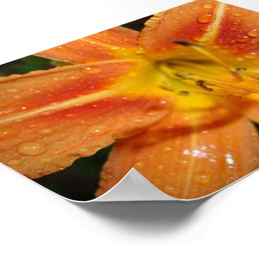 leugenachtig poster (Hoek)