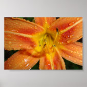 leugenachtig poster (Voorkant)