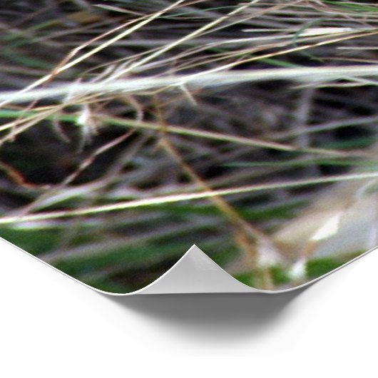 leugenachtigheid poster (Hoek)