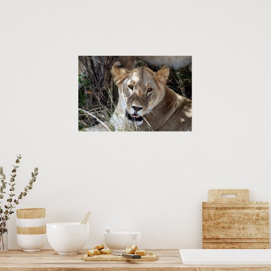 leugenachtigheid poster (Keuken)