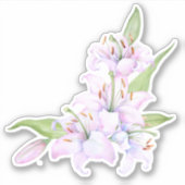 leugens sticker (Voorkant)