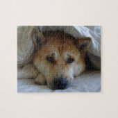 Leuk afbeelding van een slapende hond legpuzzel (Horizontaal)