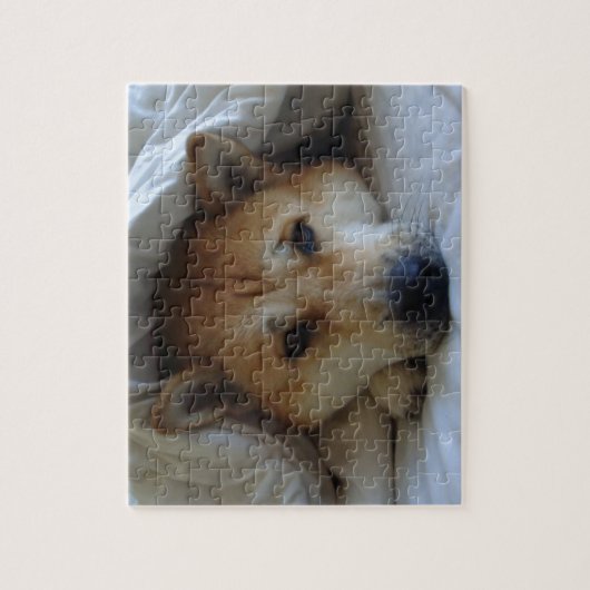 Leuk afbeelding van een slapende hond legpuzzel (Verticaal)
