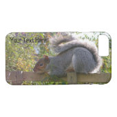 Leuk afbeelding van Grey Squirrel Sleeping Wildlif Case-Mate iPhone Case (Achterkant (Horizontaal))