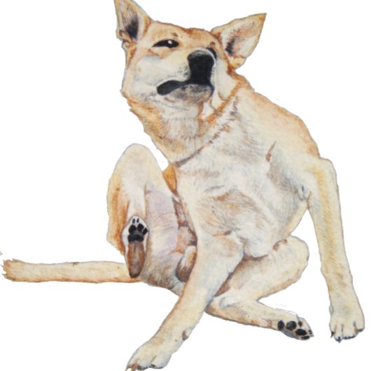 Leuk afbeelding van jeukende hond krabben met slog koffiemok