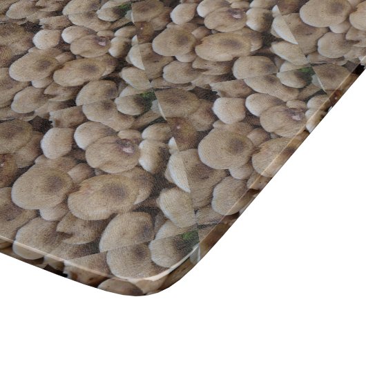 leuk afbeelding van verse knooppaddenstoelen snijplank (Hoek)