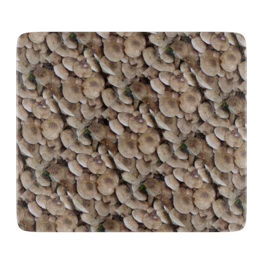 leuk afbeelding van verse knooppaddenstoelen snijplank (Voorkant)