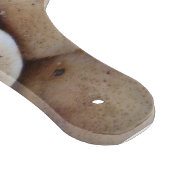 leuk afbeelding van verse knooppaddenstoelen snijplank (Hoek)