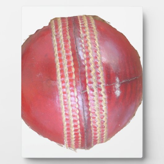 Leuk Cricketbalontwerp Fotoplaat (Voorkant)