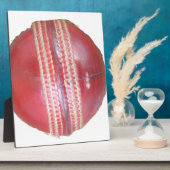 Leuk Cricketbalontwerp Fotoplaat (Zijkant)