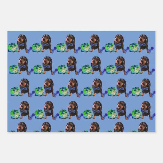 Leuk DachsundLove Wrapping Papier 48x73cm Inpakpapier Vel (Voorkant 3)