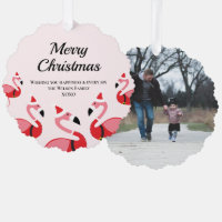 Leuk Dier Roze Flamingo Santa Foto Kerstmis