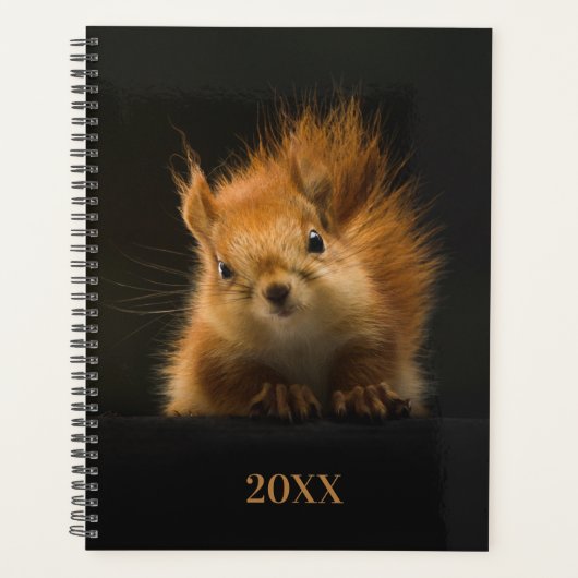 Leuk eekhoornjaar planner (Voorkant)