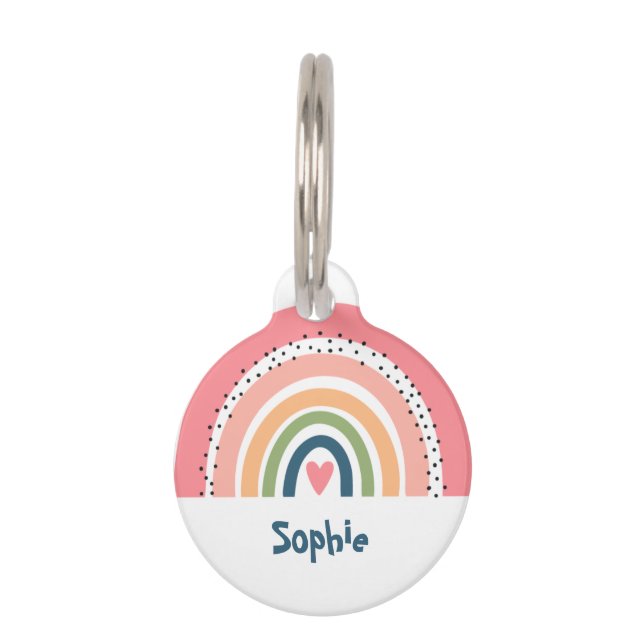 LEUK EENVOUDIG REGENBOOG BOHO HUISDIERPENNING (Voorkant)