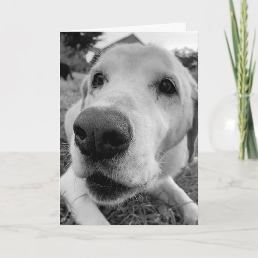 leuk en dicht bij Ed het oude gele lab Kaart (Voorkant)