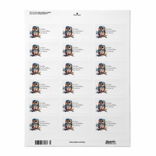 Leuk en kleurrijk Uil Adres Label (Full Sheet)