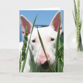 Leuk Engels Bull terrier Kaart