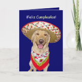 Leuk Geel Laboratorium Feliz Cumpleanos Kaart (Voorkant)
