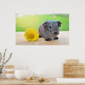 Leuk Guinee Pig Met Bloem Poster (Keuken)