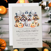 Leuk Halloween Kostuum Feest Kaart