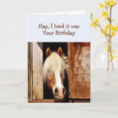 Leuk Hay Ik hoorde dat het je verjaardagspaard was Kaart (Gele Bloem)