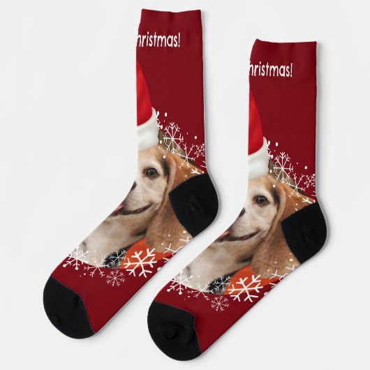 Leuk huisdier foto rode kerstmuts vrolijk kerstfee sokken (Links)