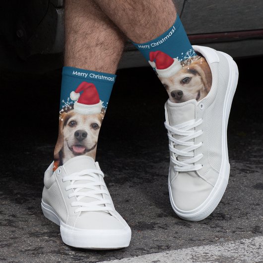 Leuk huisdier foto Santa hoed blauw Kerstmis Sokken