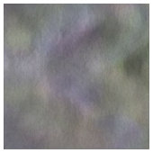 Leuk in de lente... stof (Close Up)