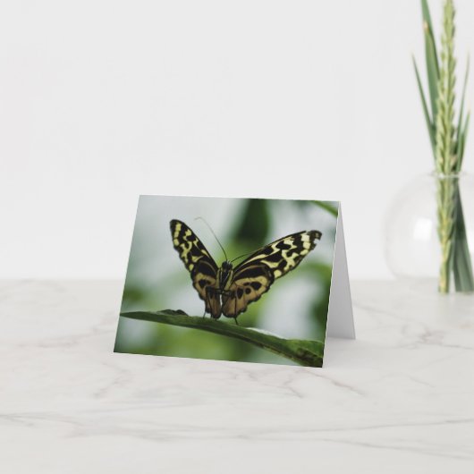 Leuk je te ontmoeten Kaart (Voorkant)