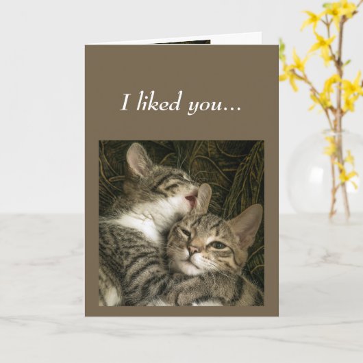 Leuk Jubileum Cats hou van je houden je Kaart (Gele Bloem)