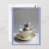 Leuk katje in het briefkaart van de theekop (Voorkant / Achterkant)