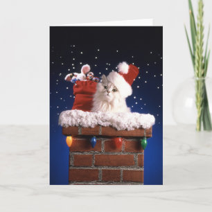 Leuk katje met het pet van de Kerstman Feestdagen Kaart