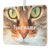 Leuk kattengezicht voor kattenliefhebbers met aang luchtverfrisser (Links)