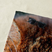 Leuk kattengezicht voor kattenliefhebbers met aang strandlaken (In situ)