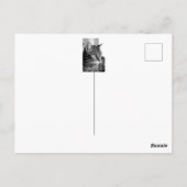 Leuk kattenportret - de denker briefkaart (Achterkant)