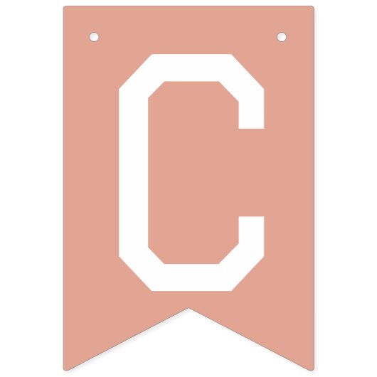 Leuk & Kleurrijk Aangepast Alle Gelegenheden Felic Vlaggetjes (Eerste vlag)