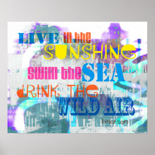 leuk kleurrijk poster leeft in de sunshine quote