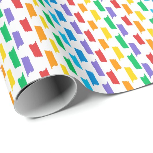Leuk & Kleurrijk Regenboog Brushstrokes Design Cadeaupapier (Rol Hoek)