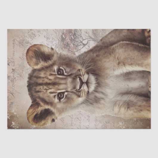 Leuk Leeuw Cub Weefsel Papier (Voorkant)