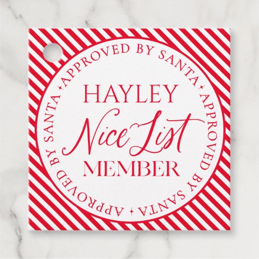 Leuk lijstlid goedgekeurd door Santa Christmas Bedankjes Labels (Voorkant)