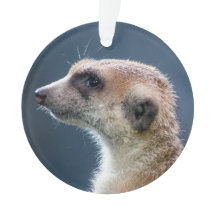 Leuk Meerkat Circulair Kerstornament