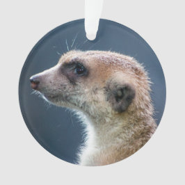 Leuk Meerkat Circulair Kerstornament Ornament