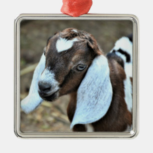 Leuk Nubisch melkgeit Kind Metalen Ornament