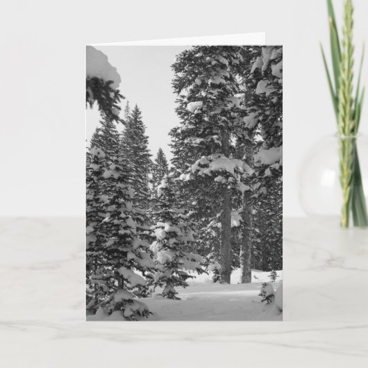 Leuk om van je te horen! Na de kerst Sjabloon (Voorkant)