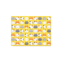 Leuk Oranje kattengezicht