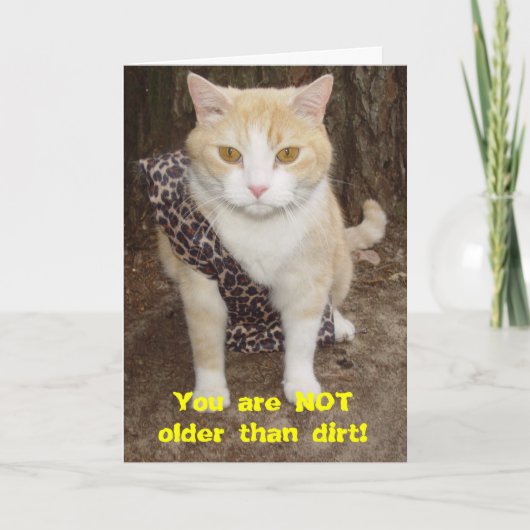 Leuk ouder dan Dirt BD Kaart (Voorkant)