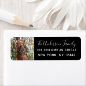 Leuk Paard Foto Aangepast Retouradres Etiket (Insitu)