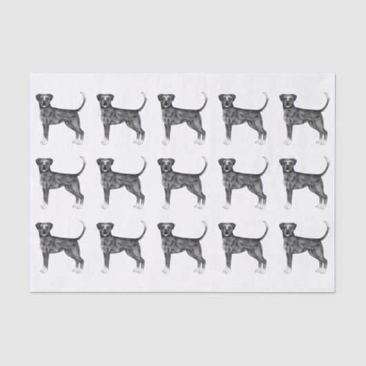 Leuk patroon van een boxerhond in zwart en wit tissuepapier (Voorkant)